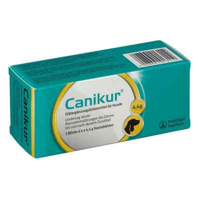 Canikur Kautabletten für Hunde nach akutem Durchfall 3X4 stk von Boehringer Ingelheim VETMEDICA GmbH PZN 01219657